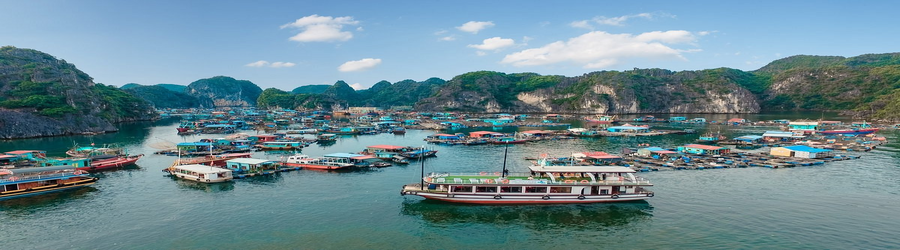 Travel from Hanoi to Lan Ha Bay